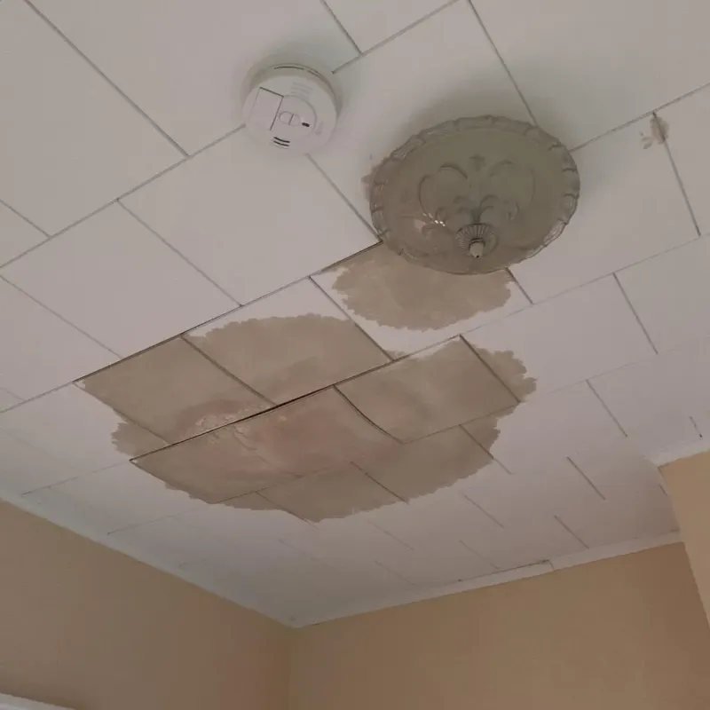 Ceiling Water Damage Repair in Leon County, FL