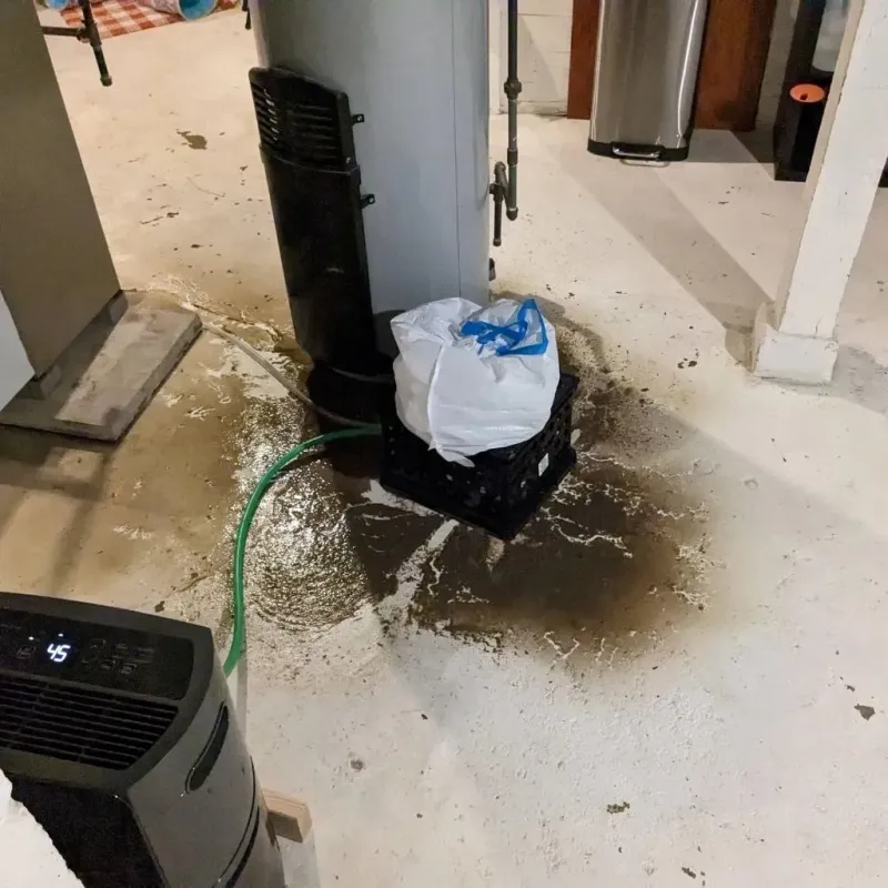 Sewage Backup Cleanup Service in Leon County, FL